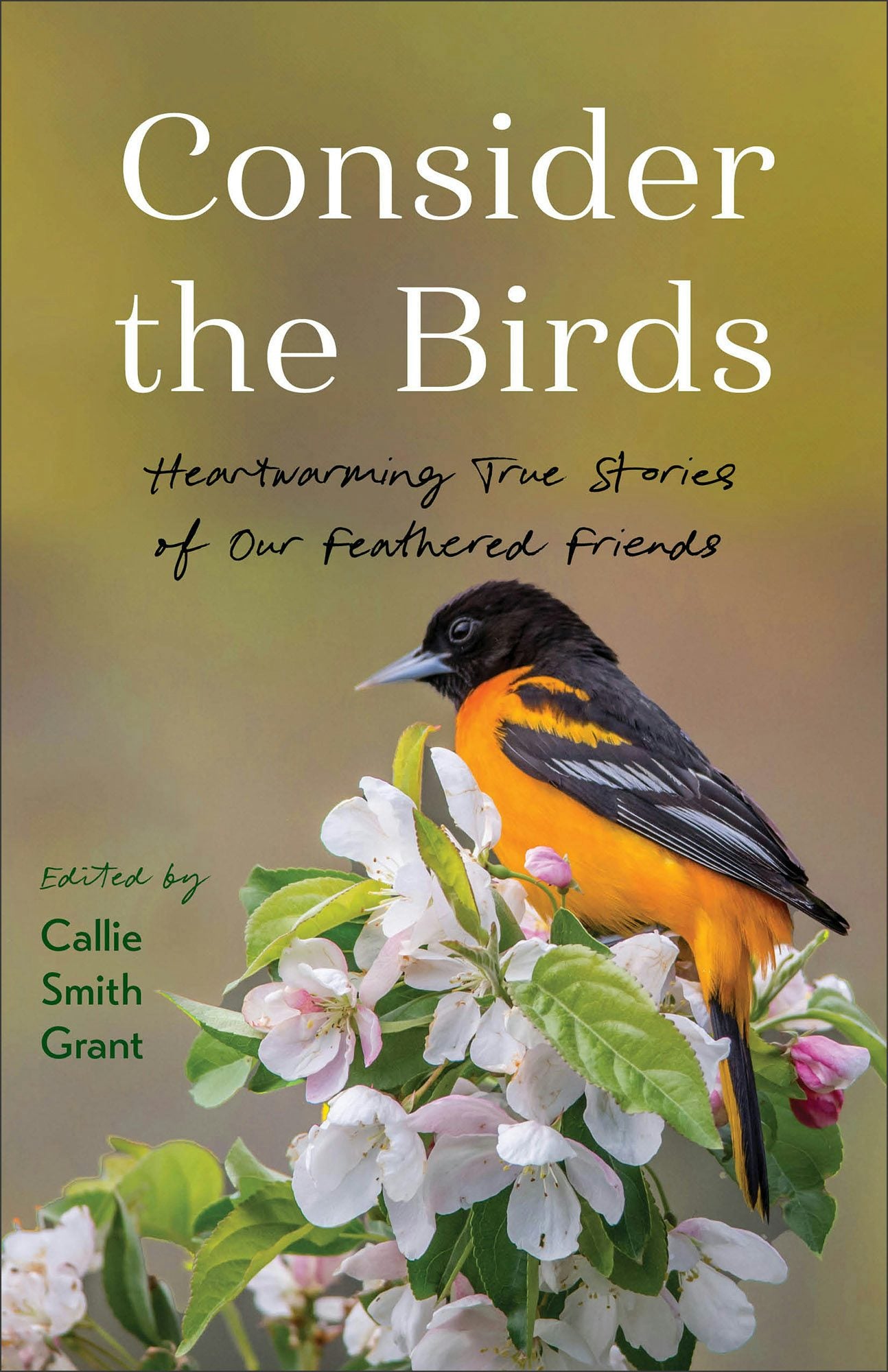 Cover image for Consider the Birds, isbn: 9780800740955