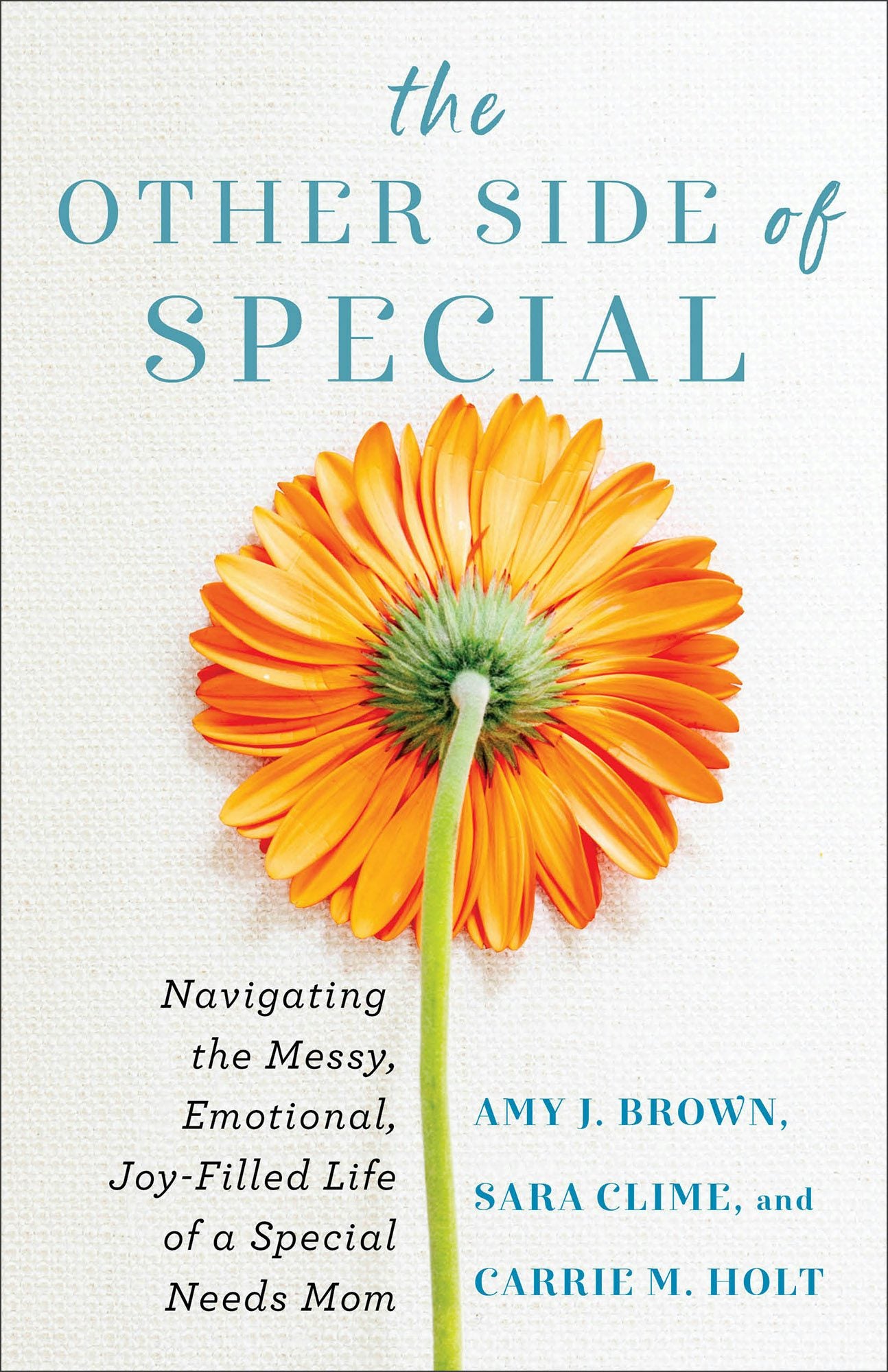 Cover image for The Other Side of Special, isbn: 9780800742119