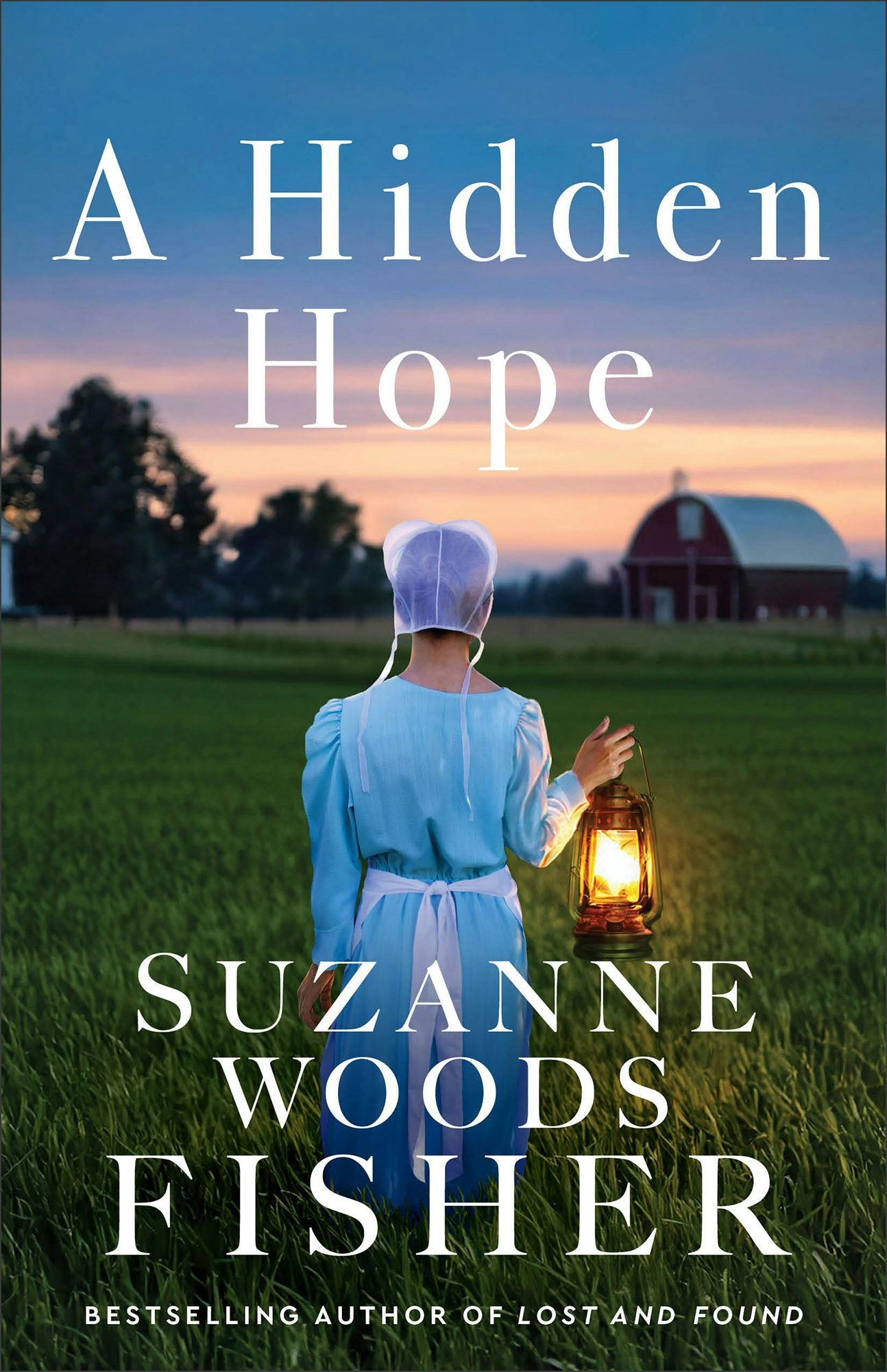 Cover image for A Hidden Hope, isbn: 9780800745295
