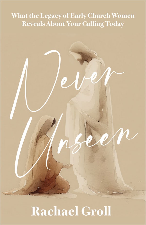 Cover image for Never Unseen, isbn: 9780800746919