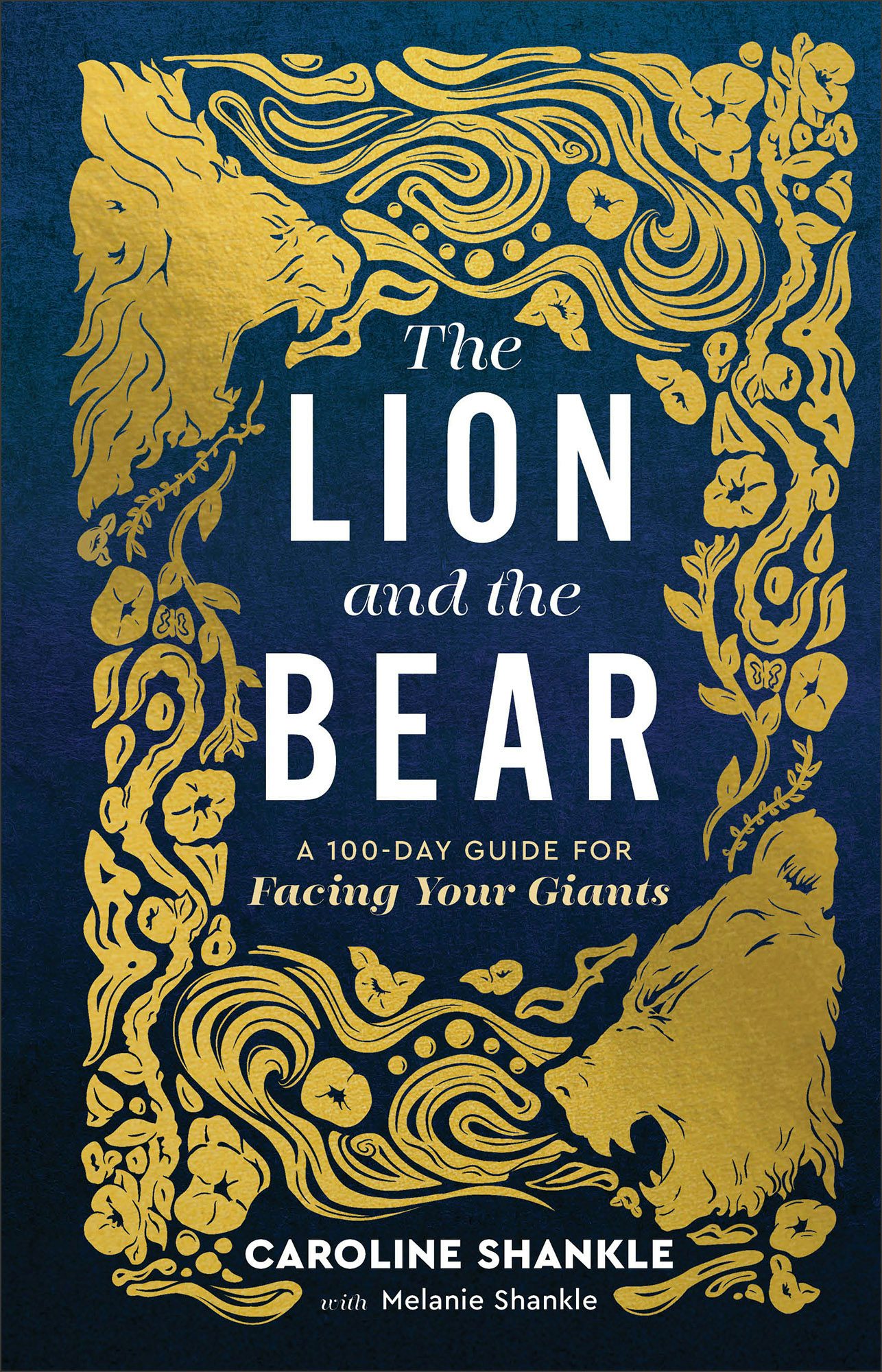Cover image for The Lion and the Bear, isbn: 9780800746926