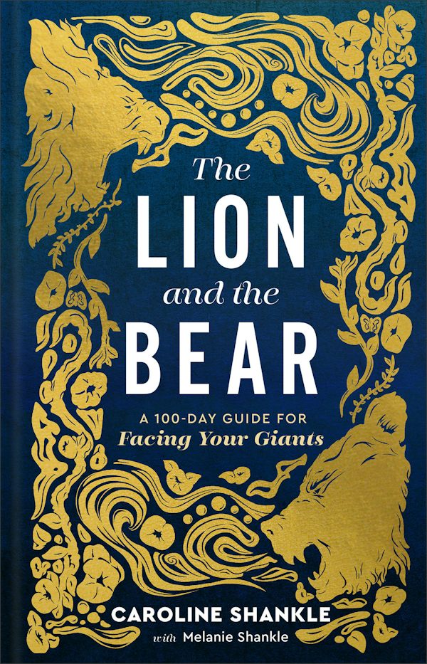 Cover image for The Lion and the Bear, isbn: 9780800746926