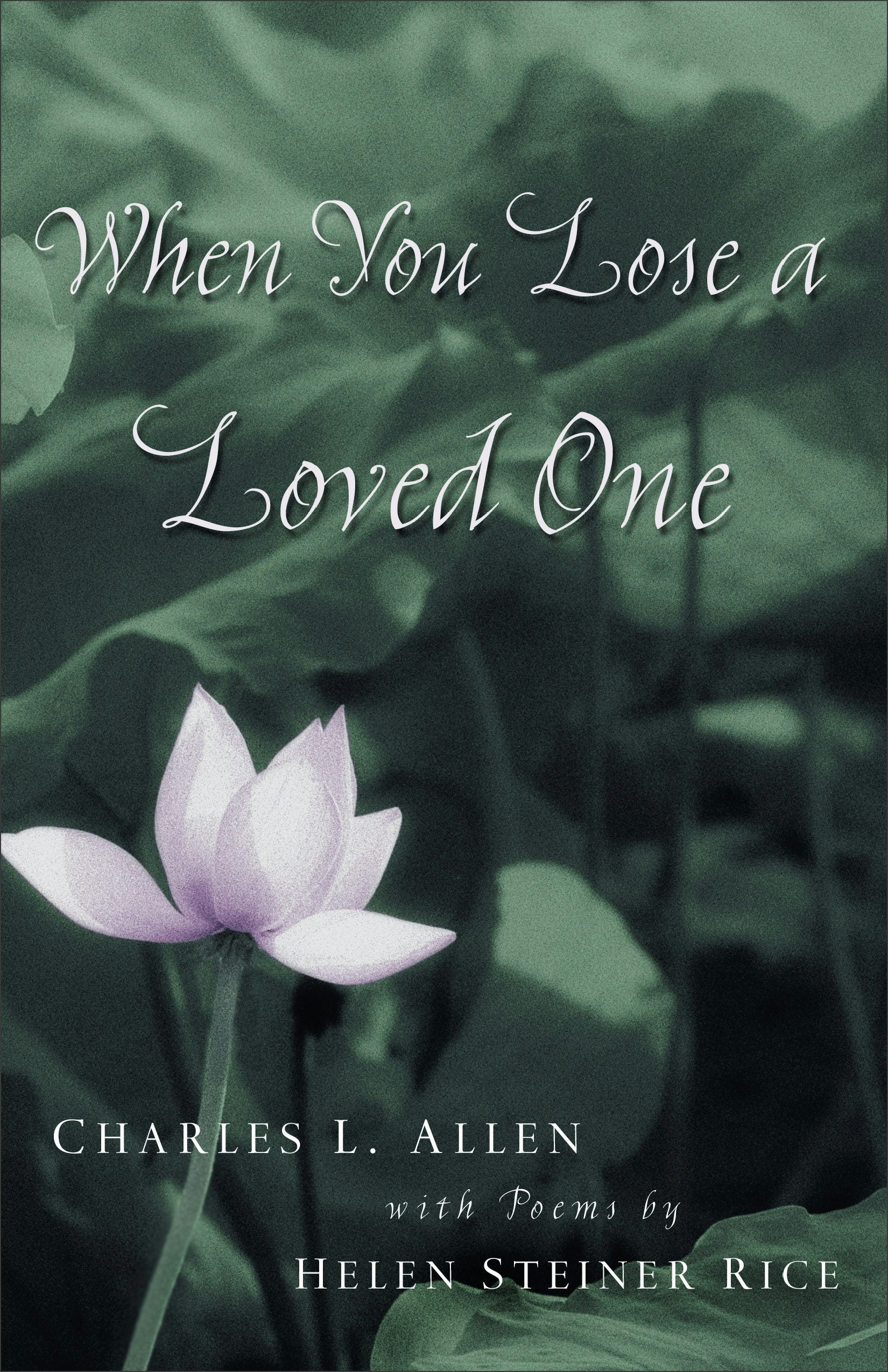 Cover image for When You Lose a Loved One, isbn: 9780800758011