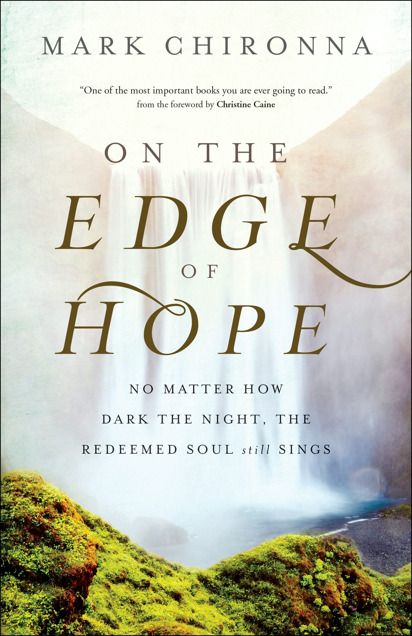 Cover image for On the Edge of Hope, isbn: 9780800762575