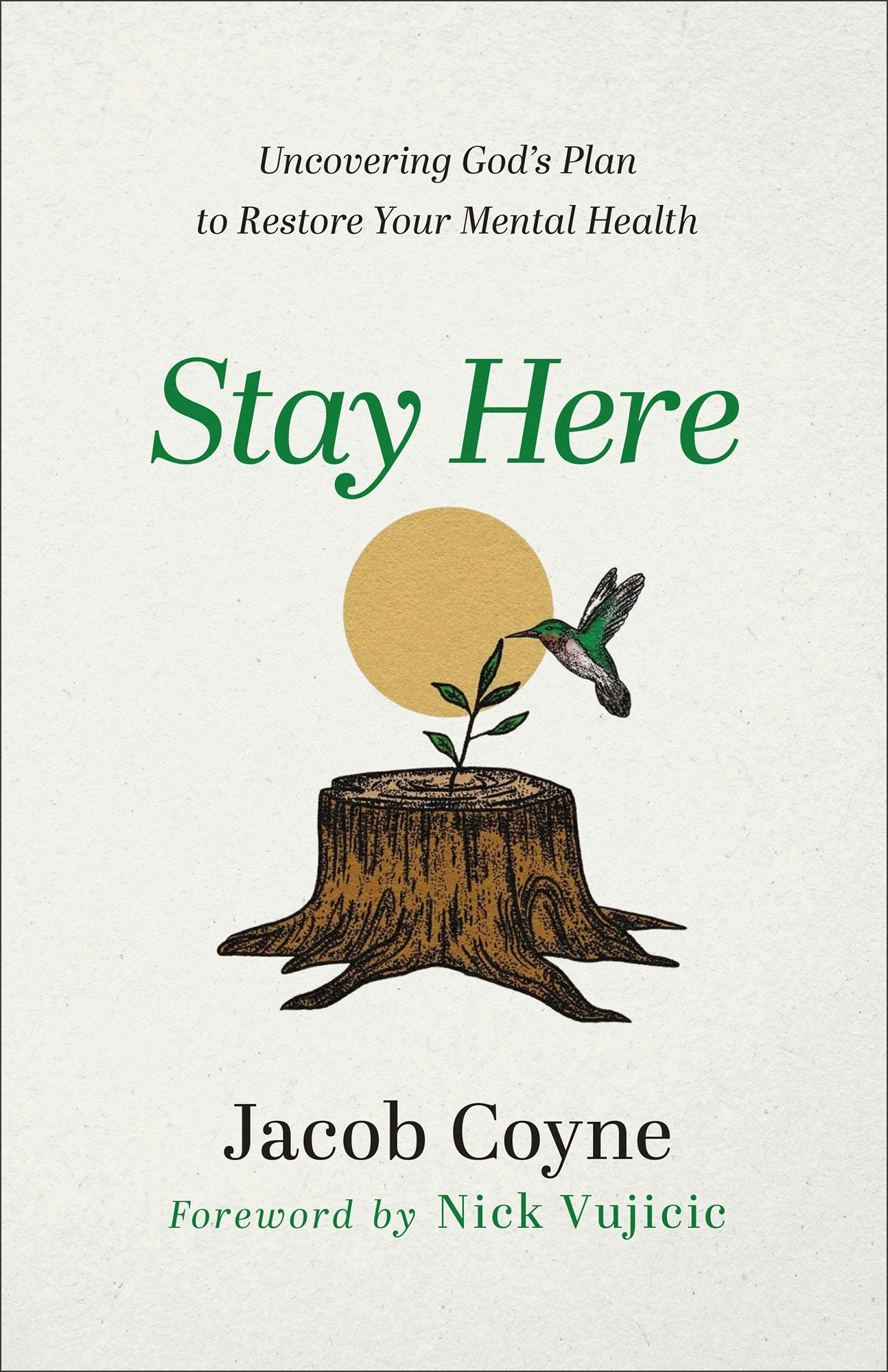 Cover image for Stay Here, isbn: 9780800763565