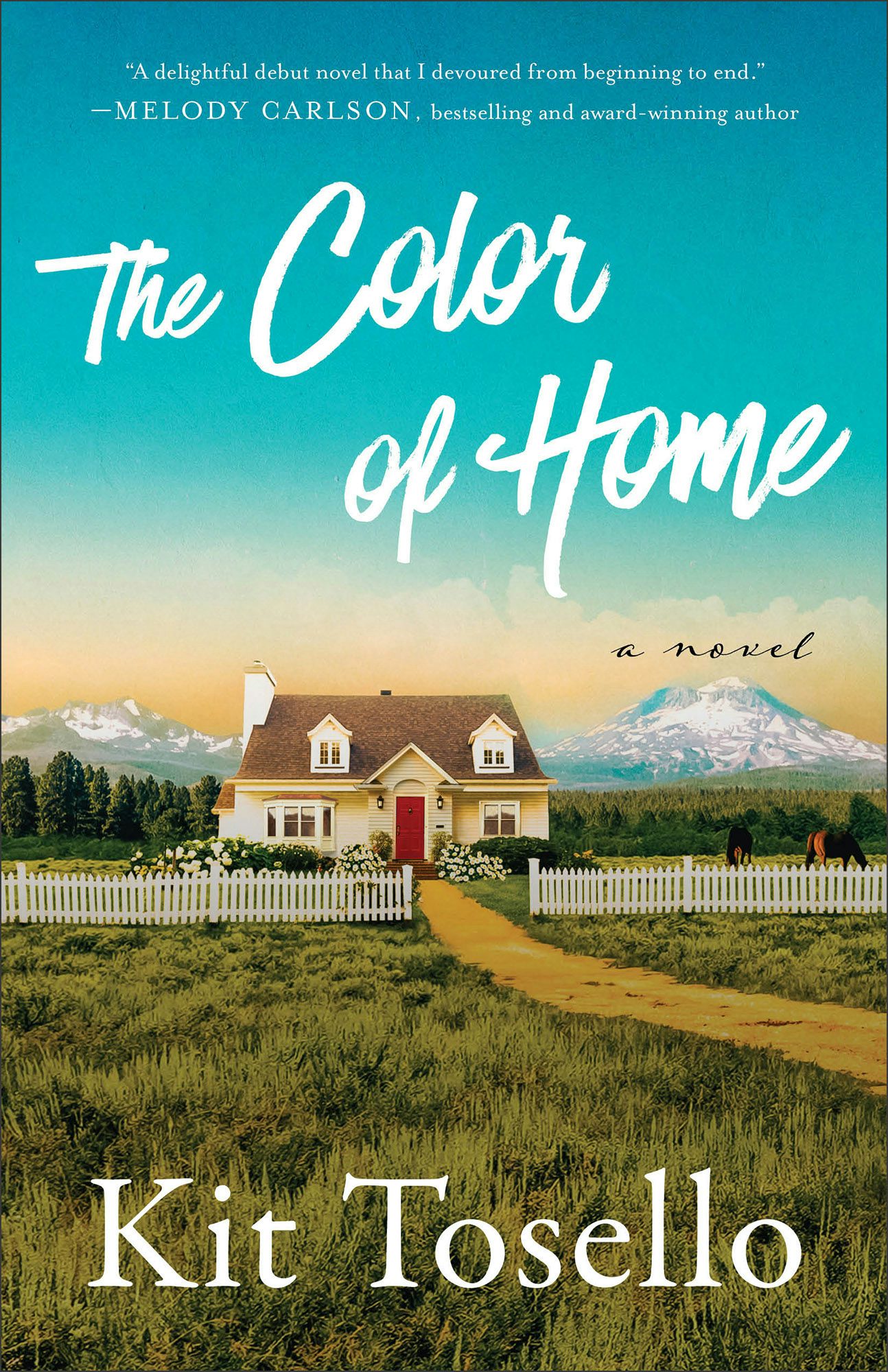 Cover image for The Color of Home, isbn: 9780800772697