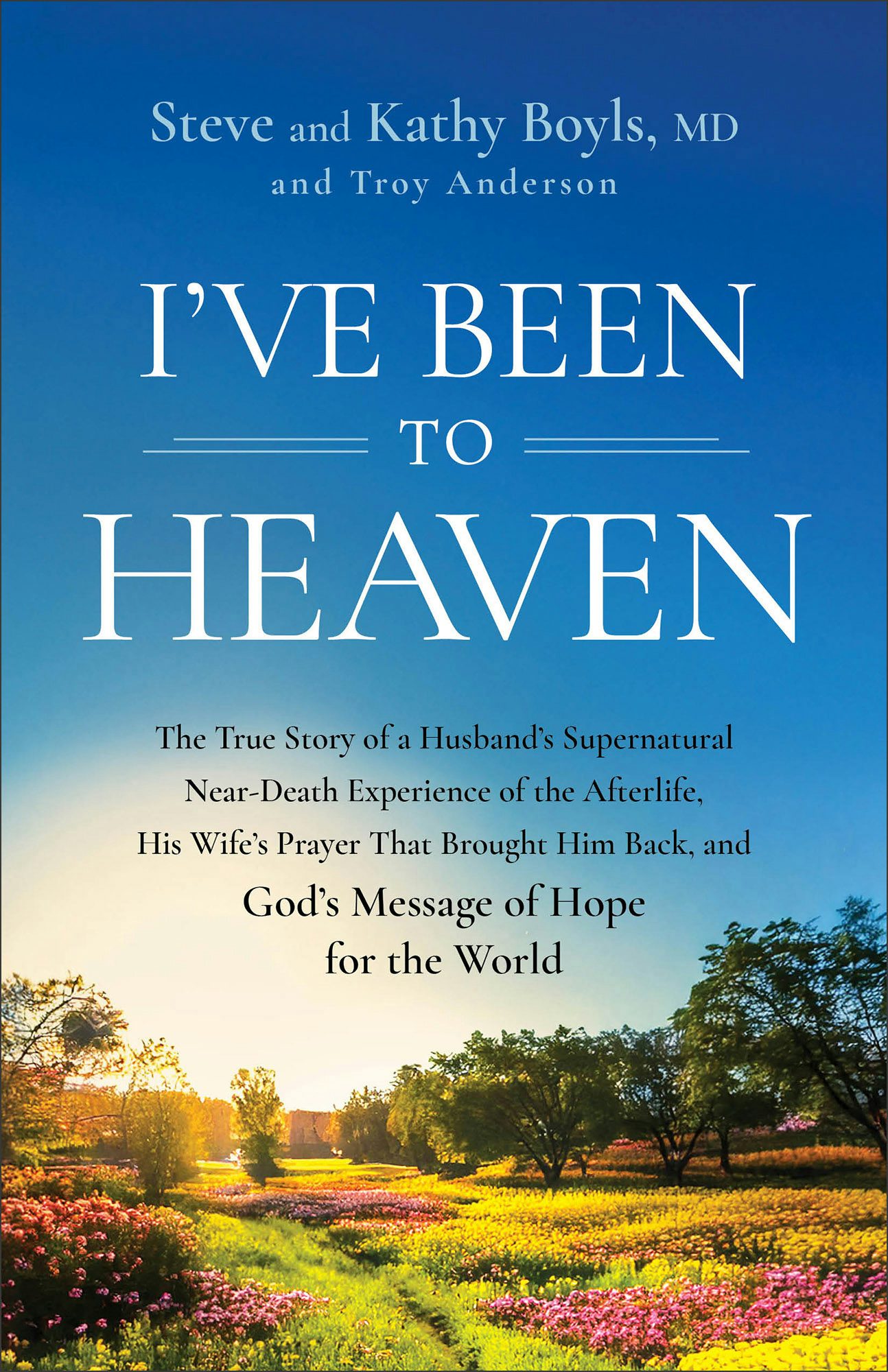 Cover image for I've Been to Heaven, isbn: 9780800773328