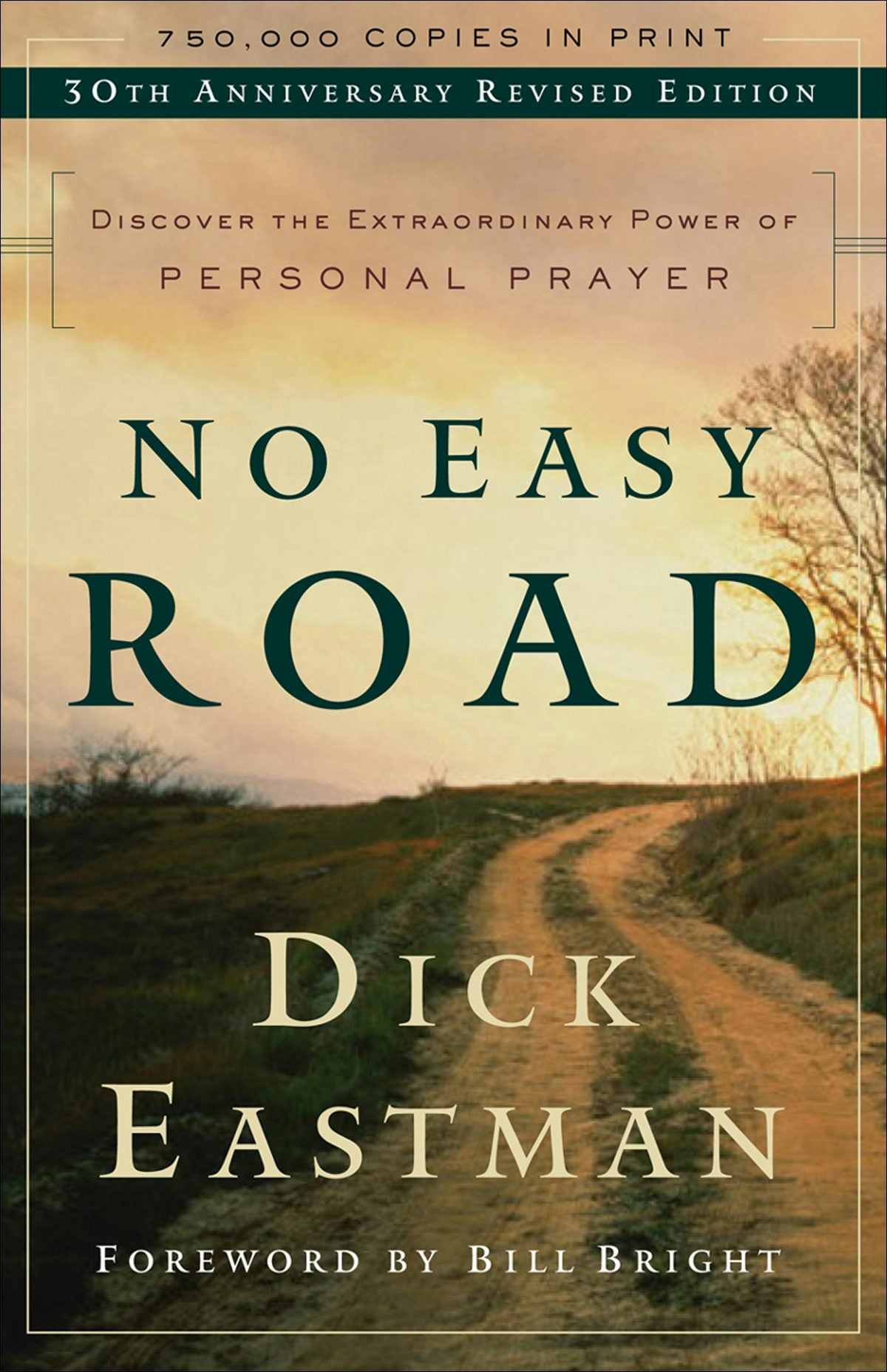 Cover image for No Easy Road, isbn: 9780800793364