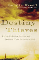 Cover image for Destiny Thieves, isbn: 9780800794200