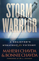 Cover image for Storm Warrior, isbn: 9780800794392