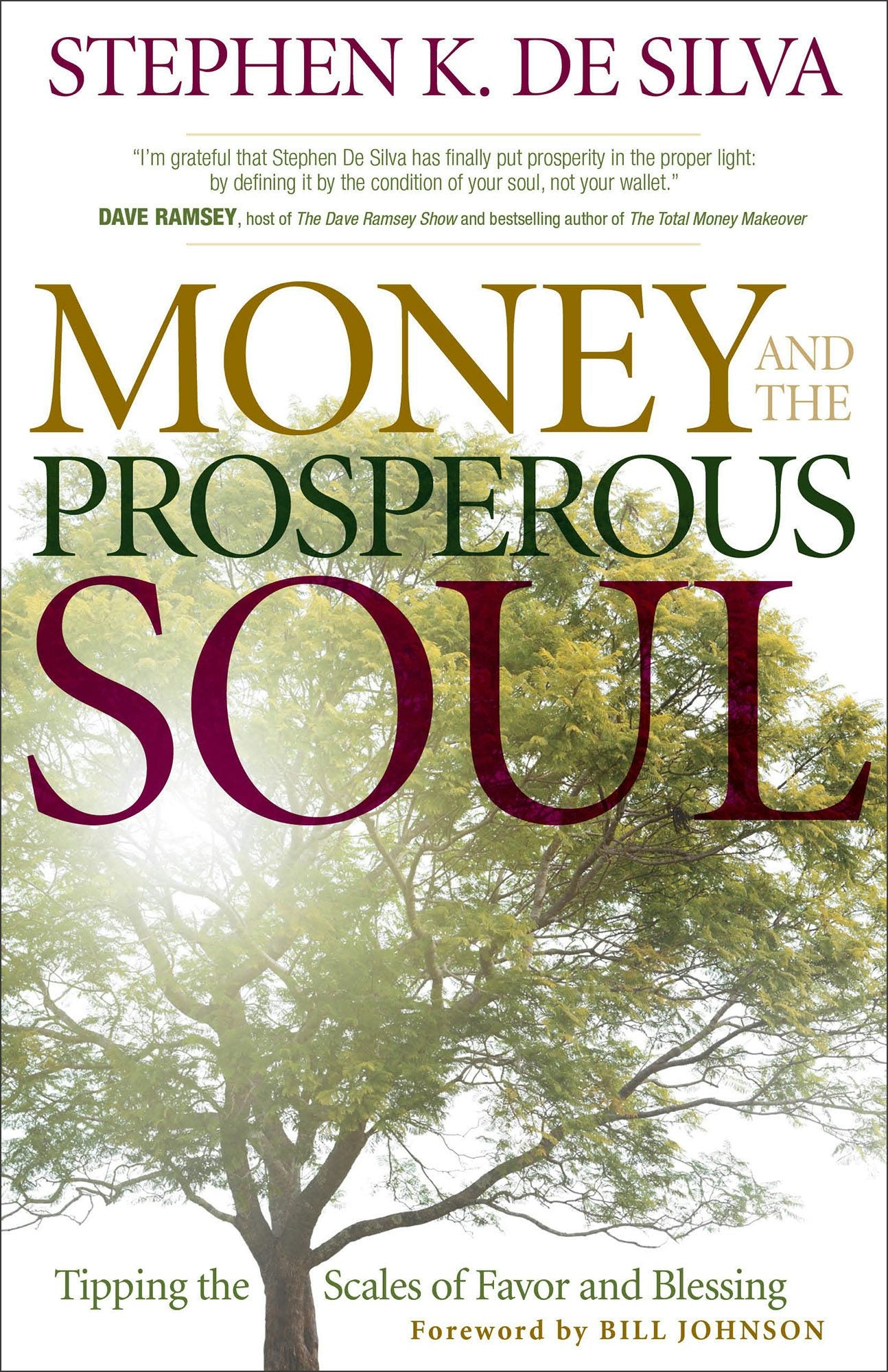 Cover image for Money and the Prosperous Soul, isbn: 9780800794965
