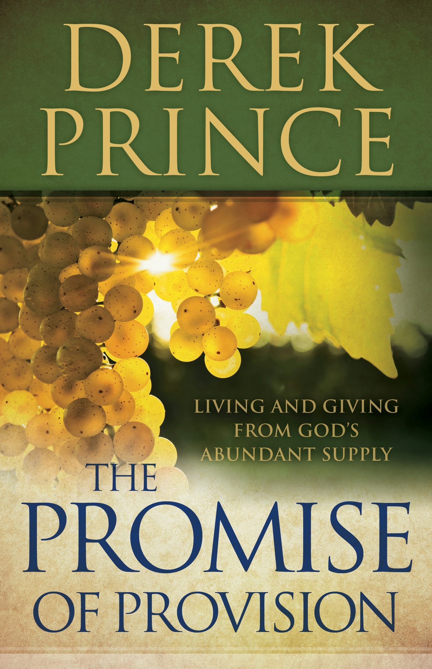 Cover image for The Promise of Provision, isbn: 9780800795221