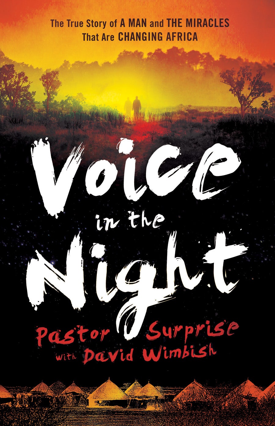 Cover image for Voice in the Night, isbn: 9780800795238