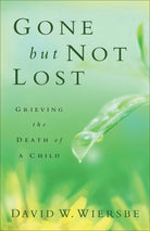 Cover image for Gone but Not Lost, isbn: 9780801013812
