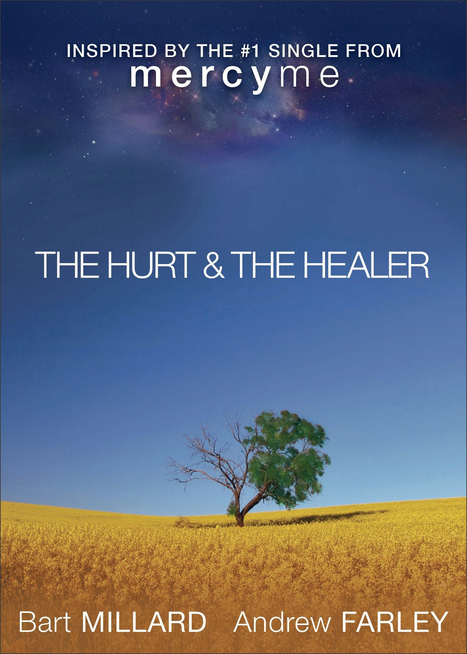 Cover image for The Hurt & The Healer, isbn: 9780801015625