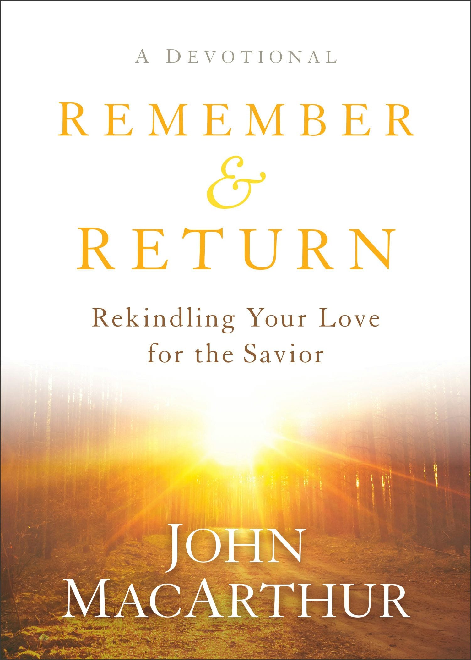 Cover image for Remember and Return, isbn: 9780801019319