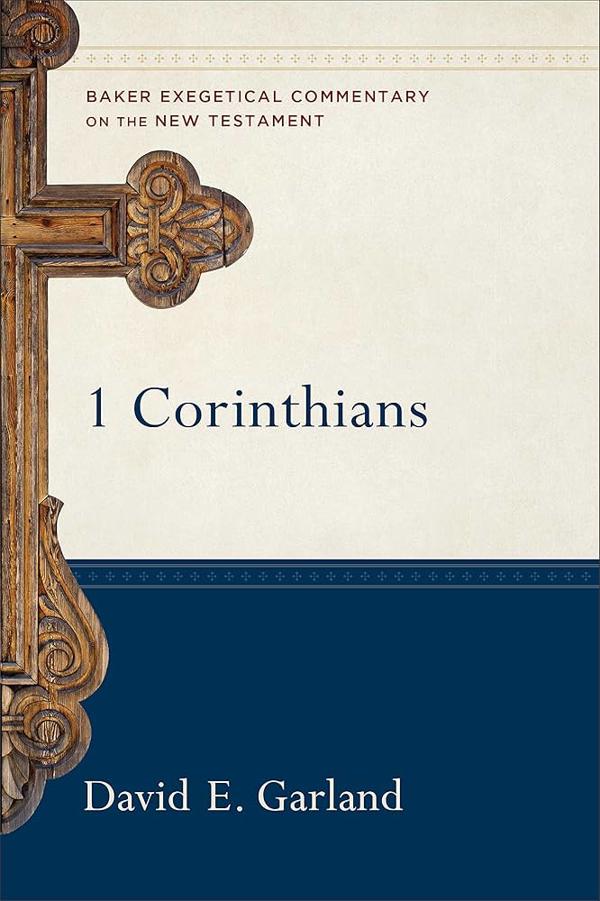 Cover image for 1 Corinthians, isbn: 9780801026300