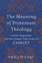 Cover image for The Meaning of Protestant Theology, isbn: 9780801039454