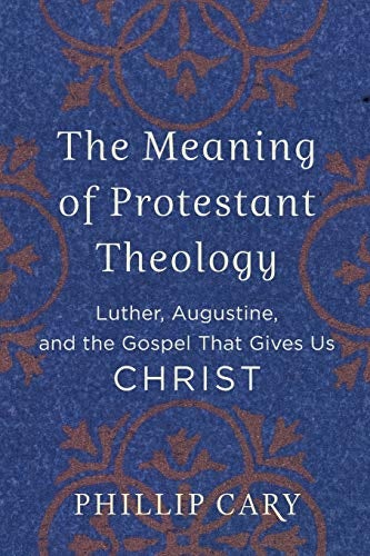 Cover image for The Meaning of Protestant Theology, isbn: 9780801039454