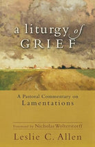 Cover image for A Liturgy of Grief, isbn: 9780801039607