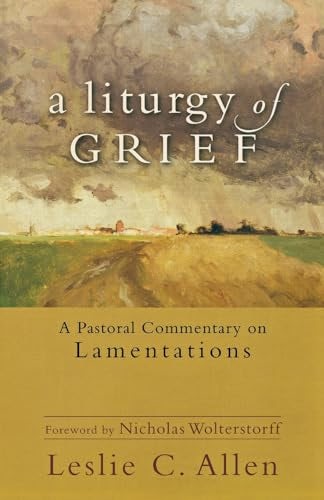 Cover image for A Liturgy of Grief, isbn: 9780801039607
