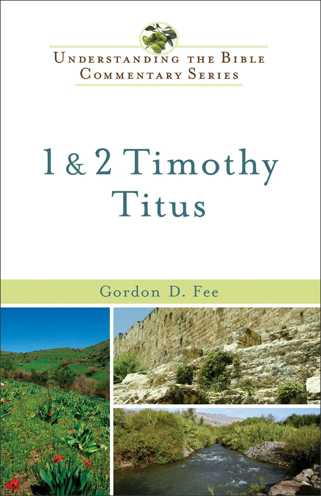 Cover image for 1 & 2 Timothy, Titus, isbn: 9780801046230