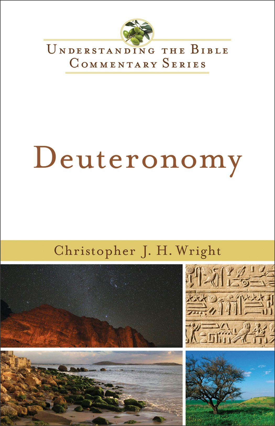 Cover image for Deuteronomy, isbn: 9780801048142