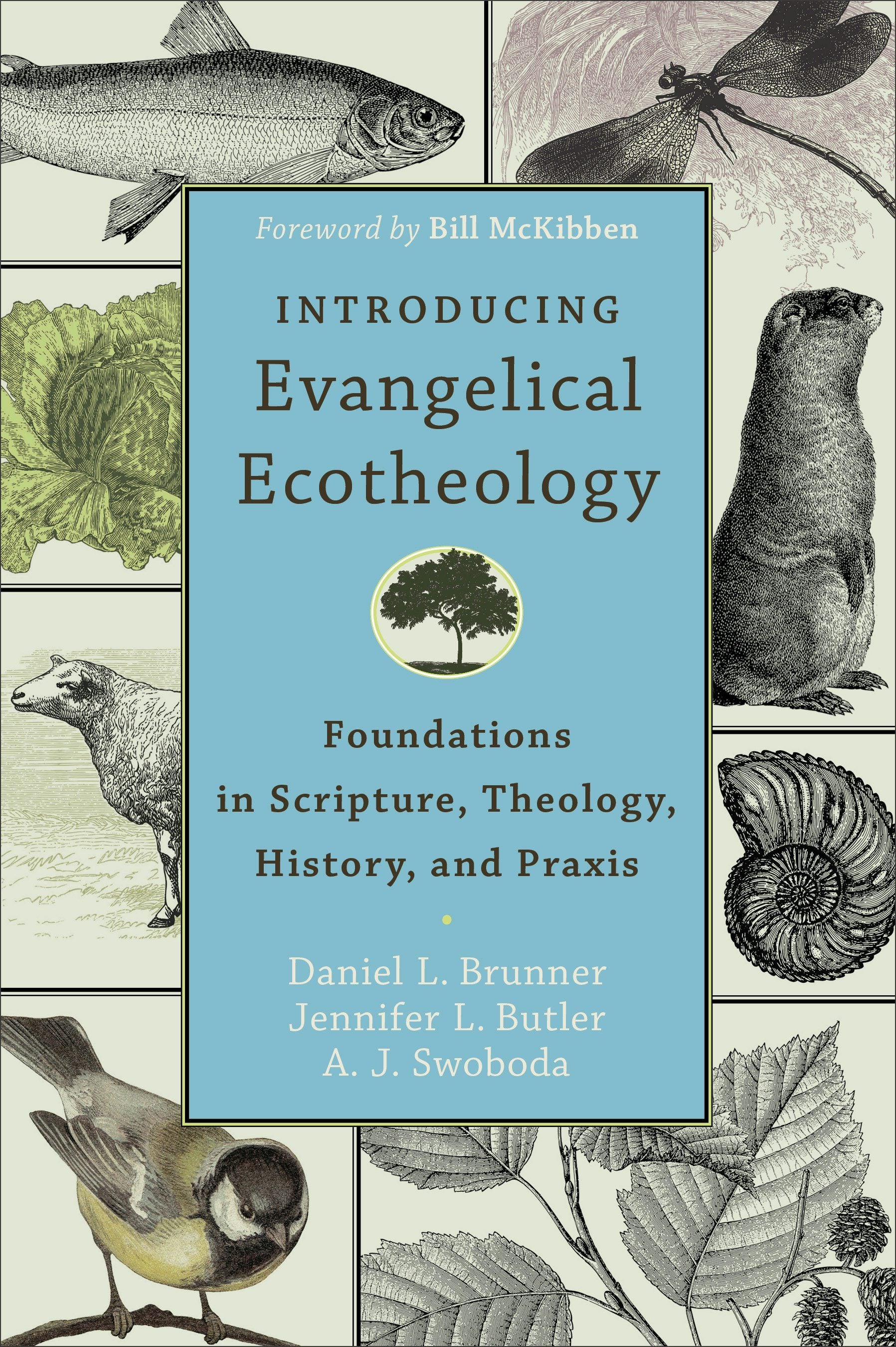 Introducing Evangelical Ecotheology – Baker Publishing Group