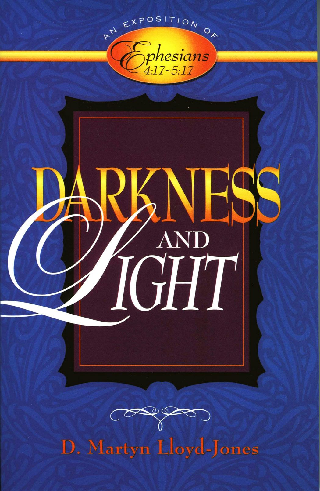 Cover image for Darkness and Light, isbn: 9780801057984