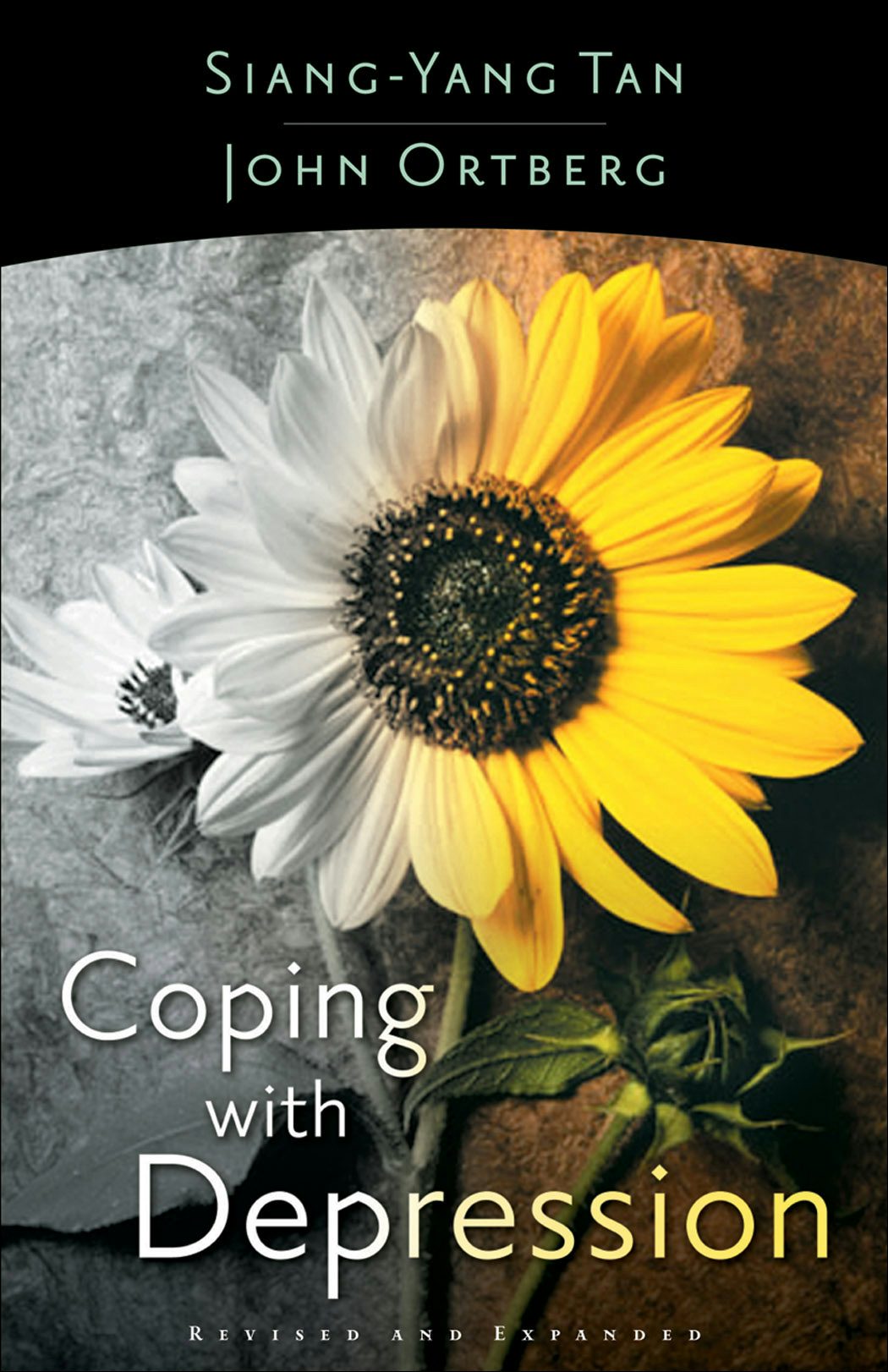 Cover image for Coping with Depression, isbn: 9780801064913