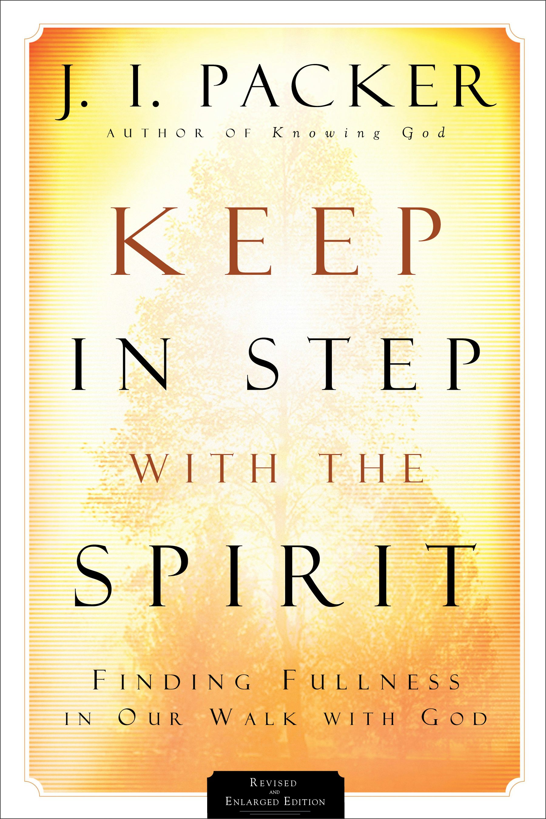 Cover image for Keep in Step with the Spirit, isbn: 9780801065583