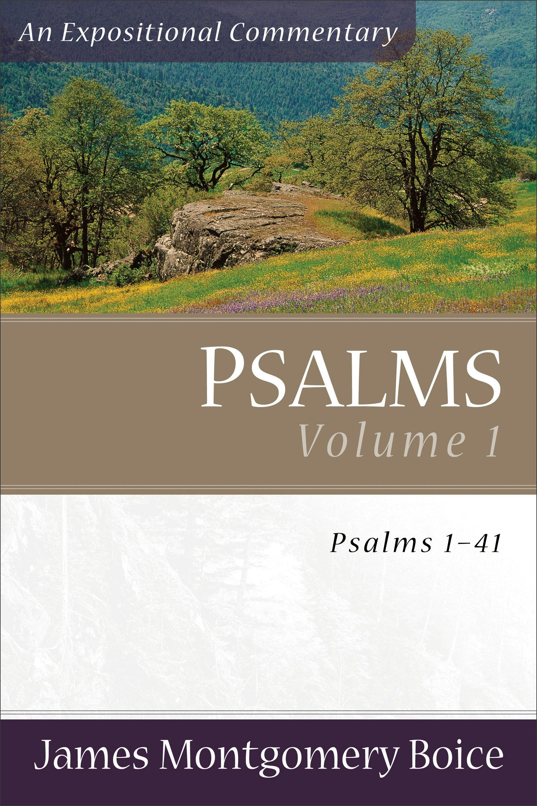 Cover image for Psalms, isbn: 9780801065781