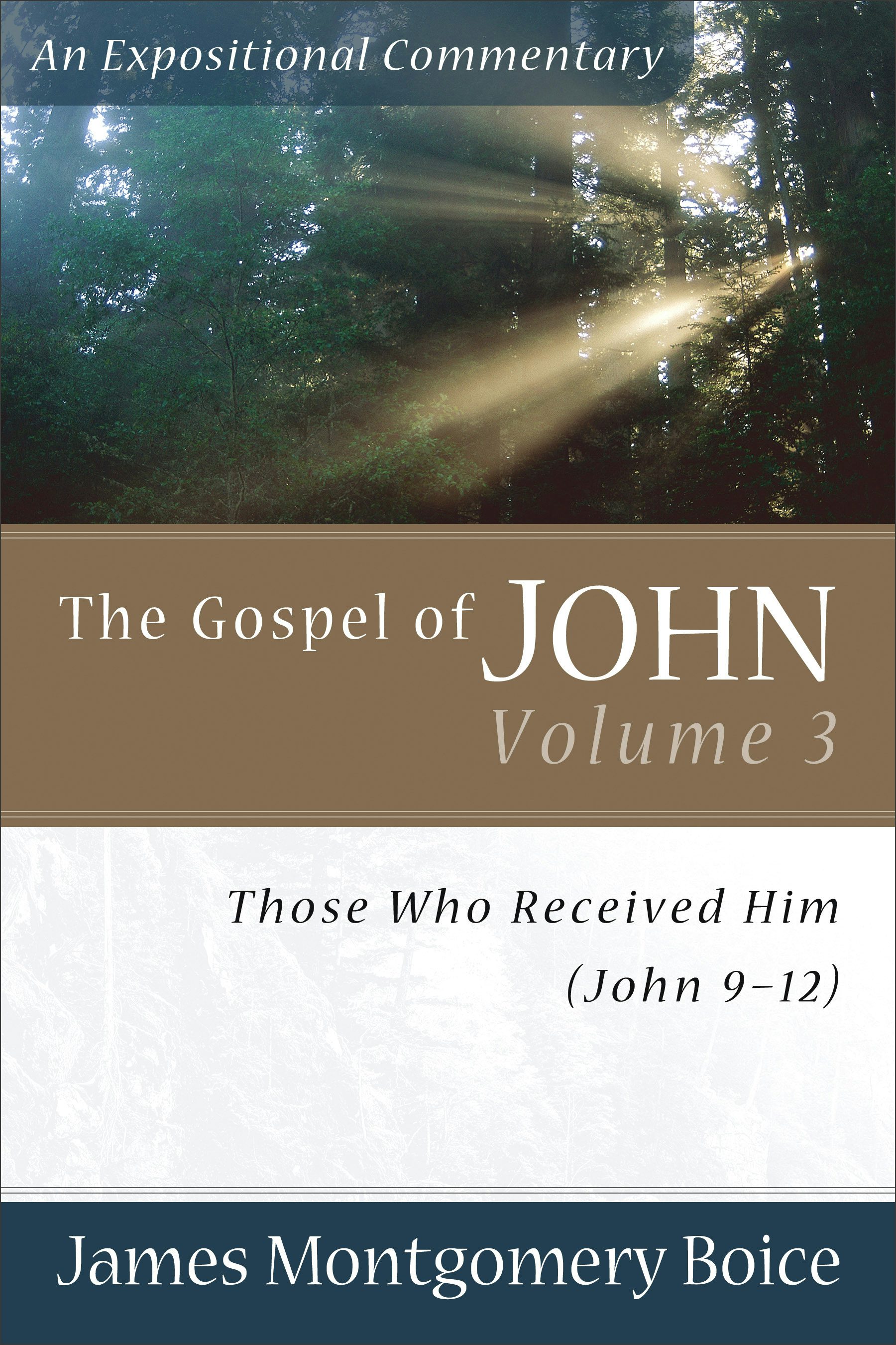 Cover image for The Gospel of John, isbn: 9780801065811