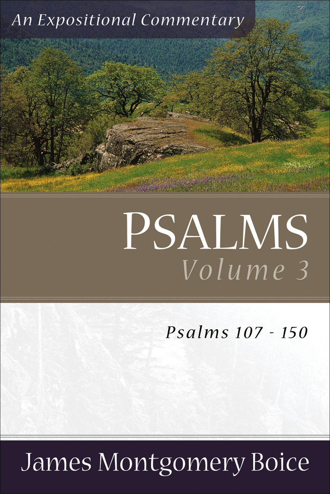 Cover image for Psalms, isbn: 9780801065866