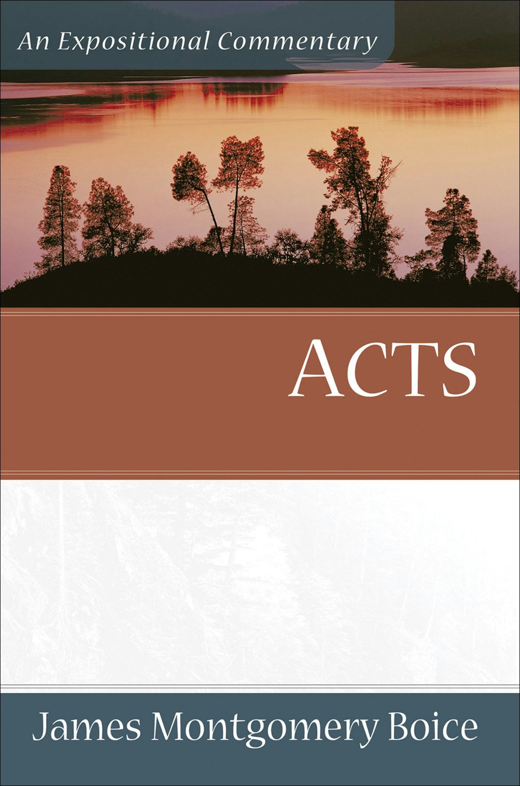 Cover image for Acts, isbn: 9780801066337