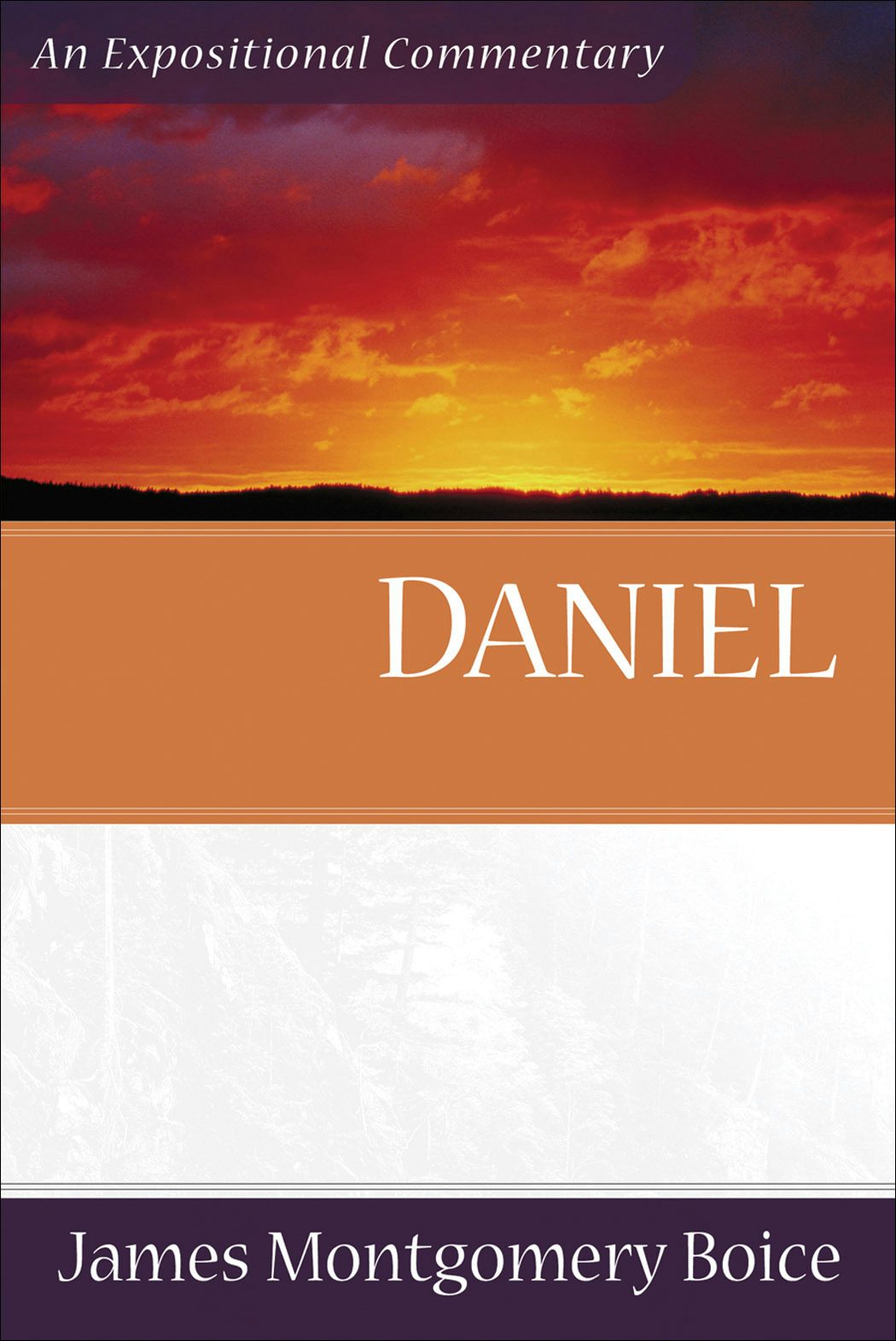 Cover image for Daniel, isbn: 9780801066412