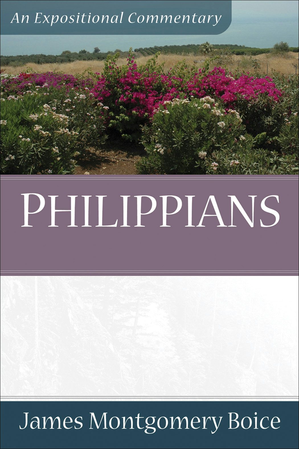Cover image for Philippians, isbn: 9780801066450