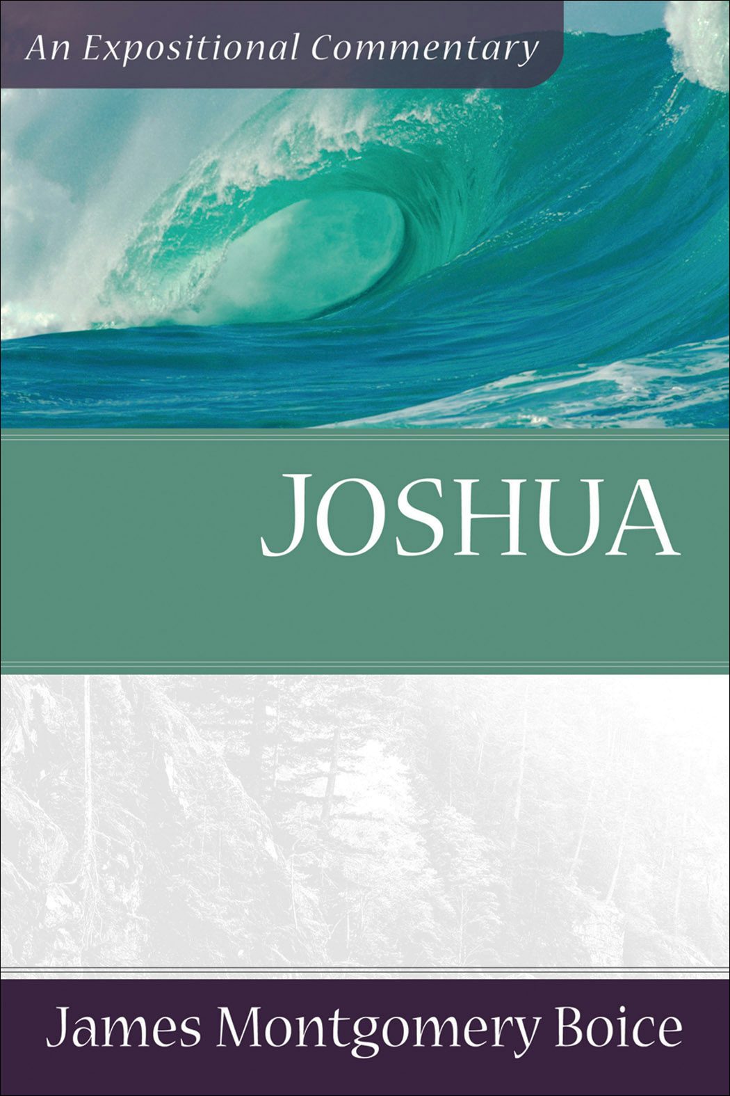 Cover image for Joshua, isbn: 9780801066467
