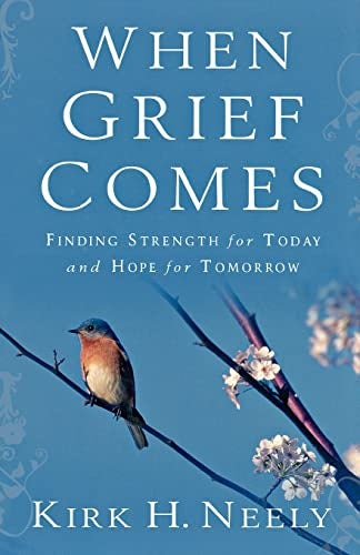 Cover image for When Grief Comes, isbn: 9780801067600