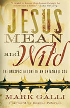 Cover image for Jesus Mean and Wild, isbn: 9780801071577