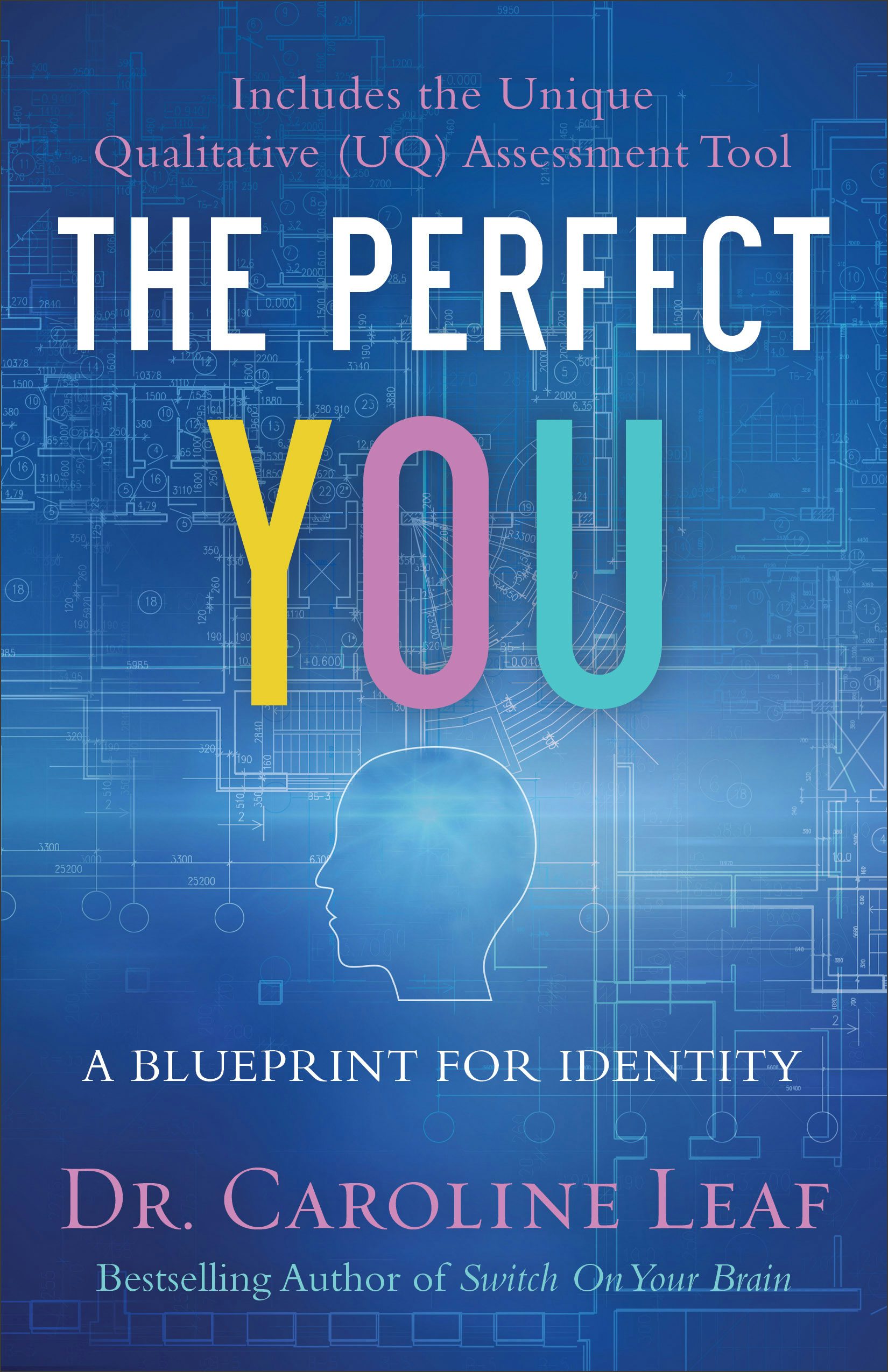 Cover image for The Perfect You, isbn: 9780801077968