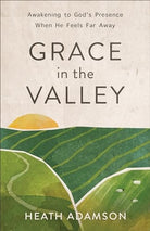 Cover image for Grace in the Valley, isbn: 9780801093715