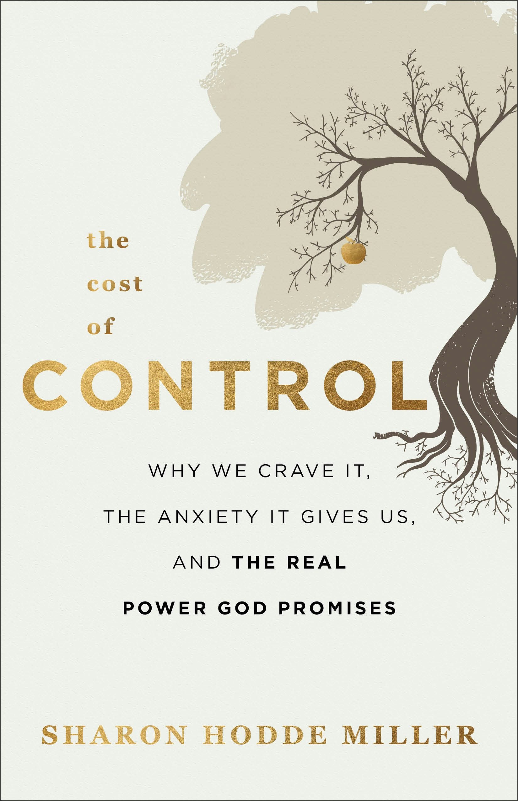 Cover image for The Cost of Control, isbn: 9780801094934