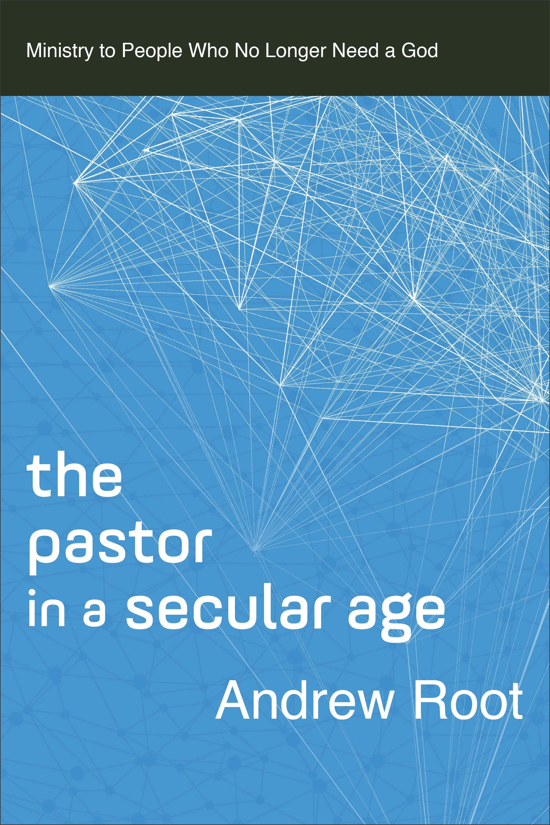 Cover image for The Pastor in a Secular Age, isbn: 9780801098475