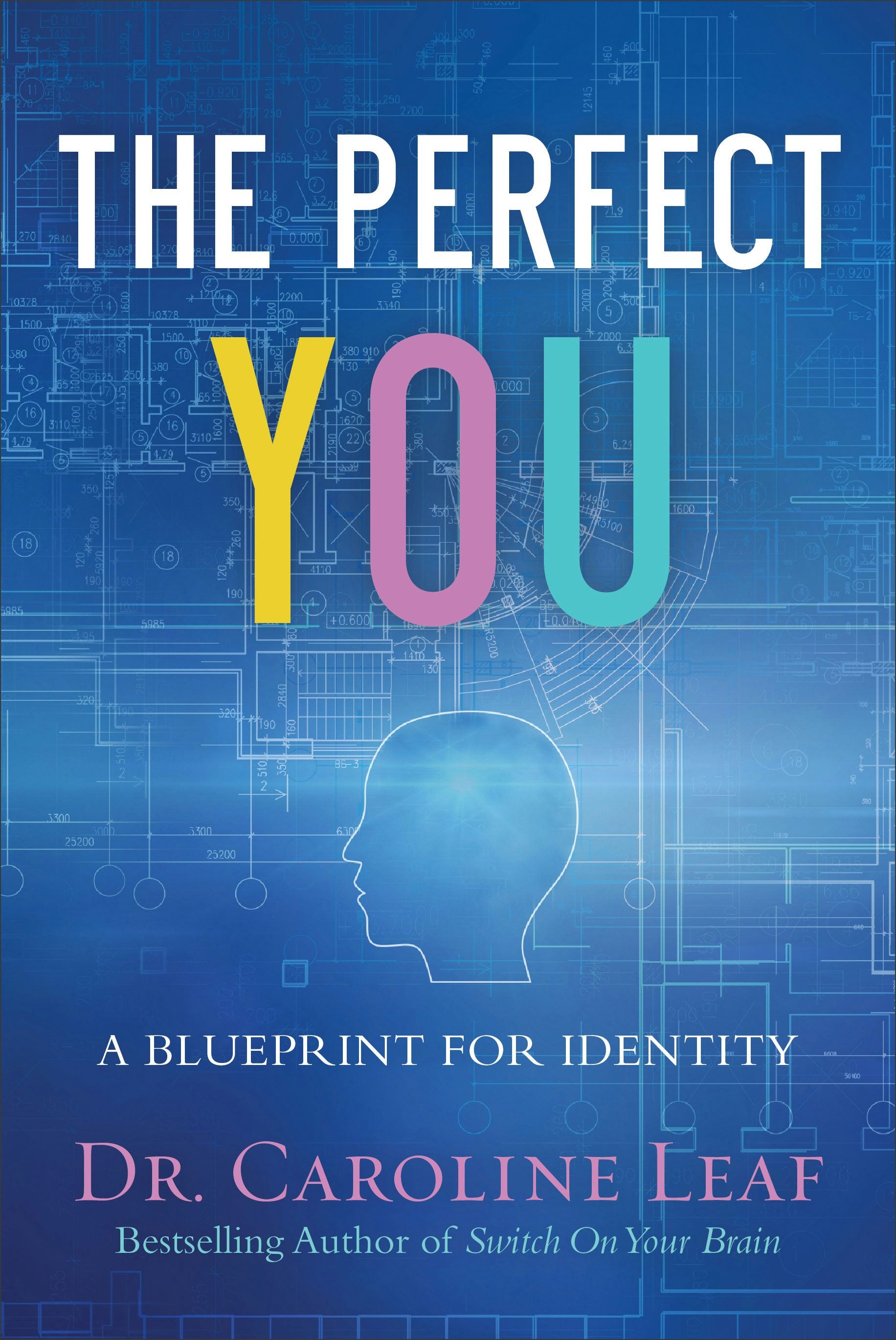 Cover image for The Perfect You Curriculum Kit, isbn: 9781540900043