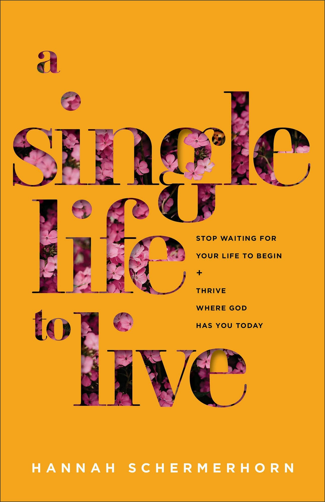 Cover image for A Single Life to Live, isbn: 9781540902733
