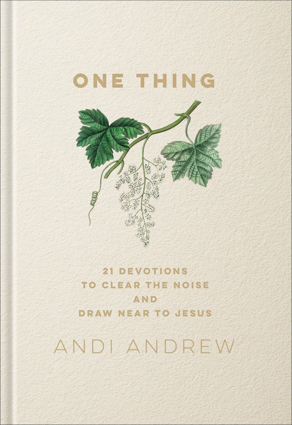 Cover image for One Thing, isbn: 9781540903501