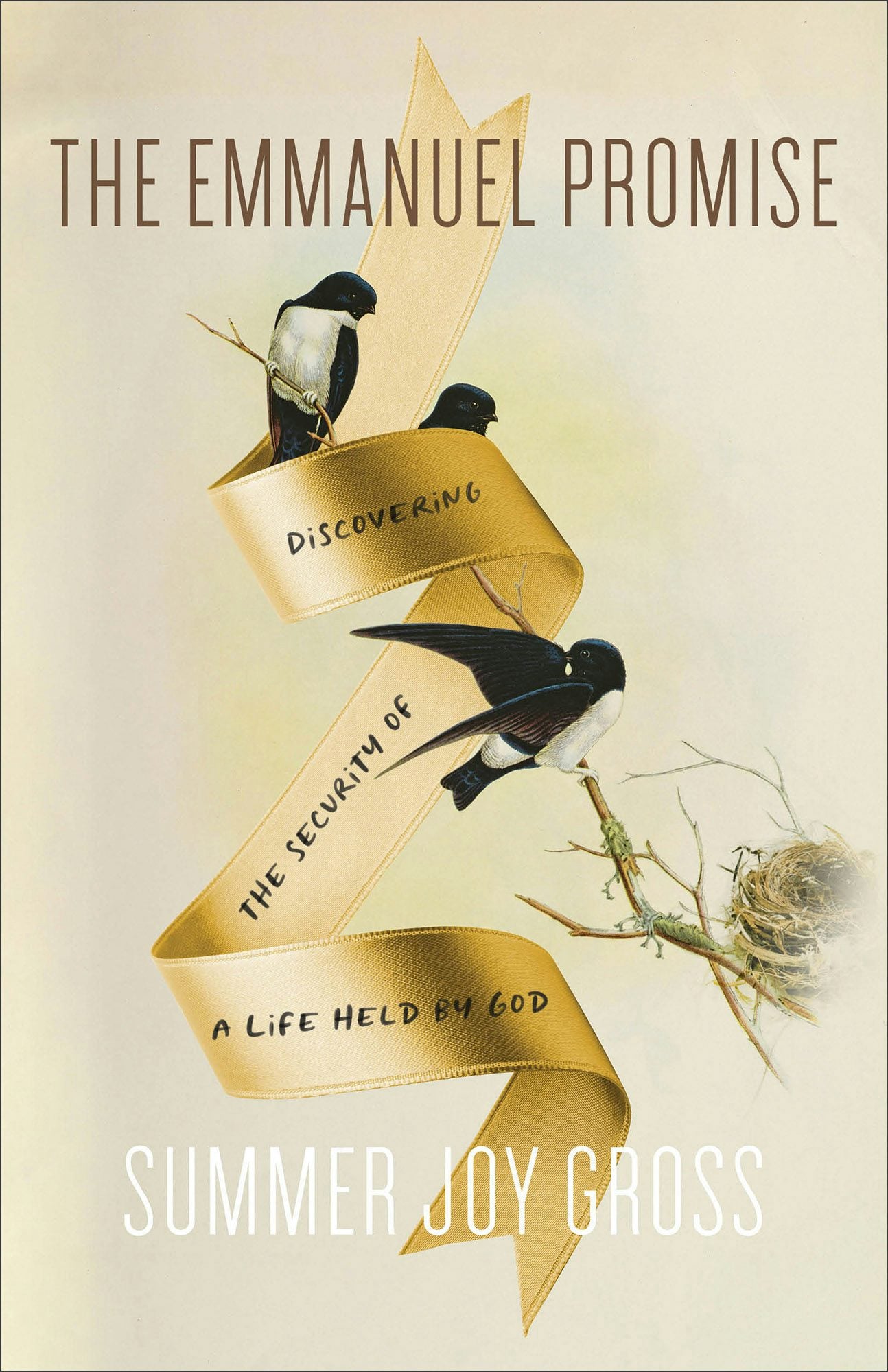 Cover image for The Emmanuel Promise, isbn: 9781540903662
