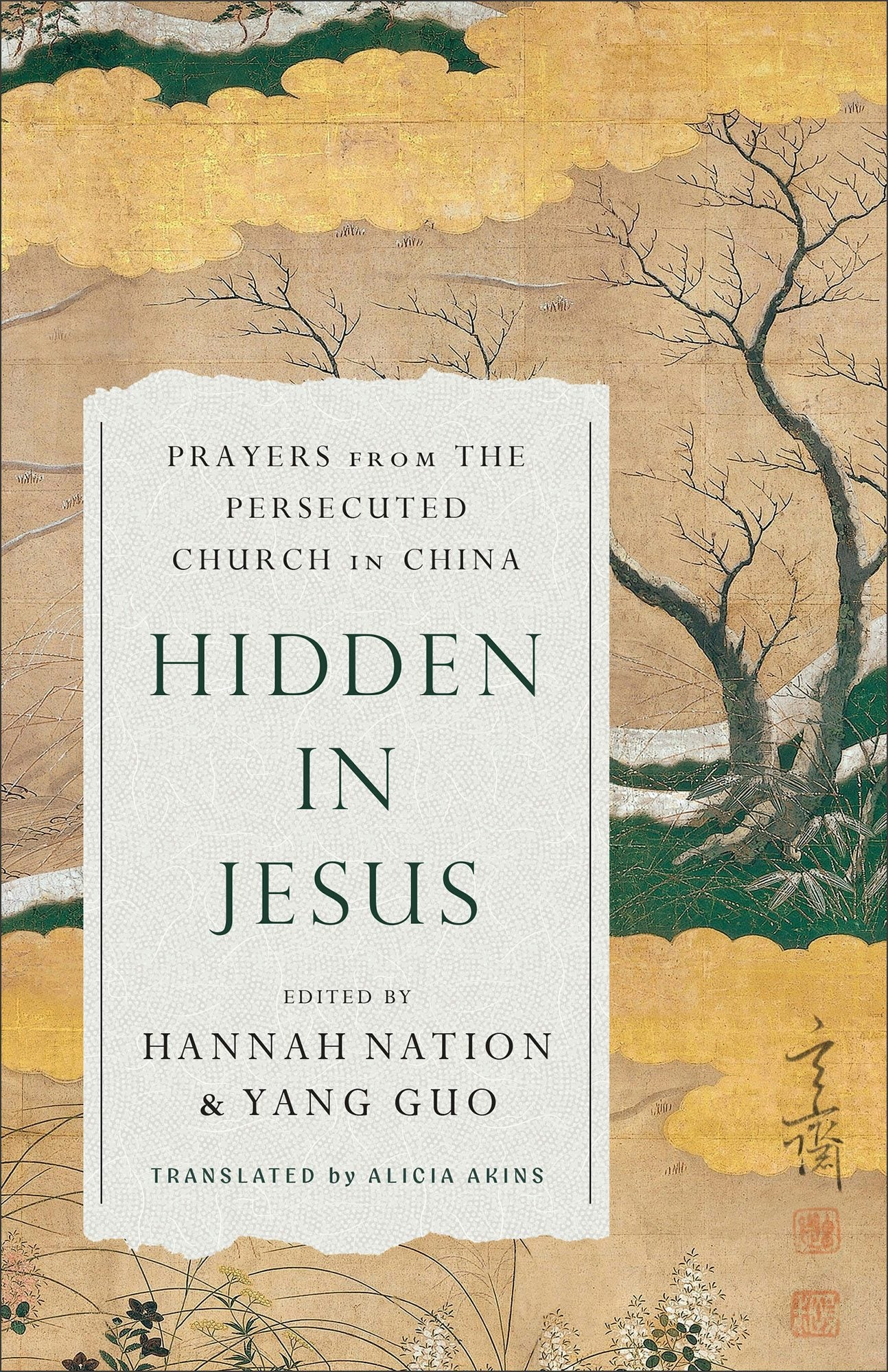 Cover image for Hidden in Jesus, isbn: 9781540905970