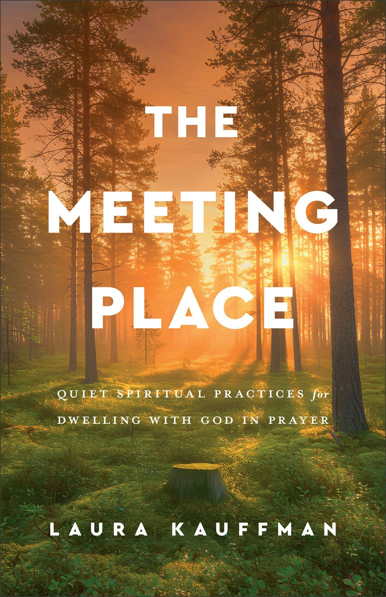 Cover image for The Meeting Place, isbn: 9781540906113